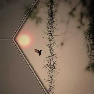 دورم میکنی مجبورم میکنی هوش مصنوعی