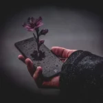 بدون من کجا میخوای بری