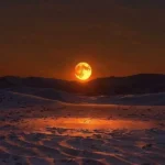 ای دختر صحرا نیلوفر