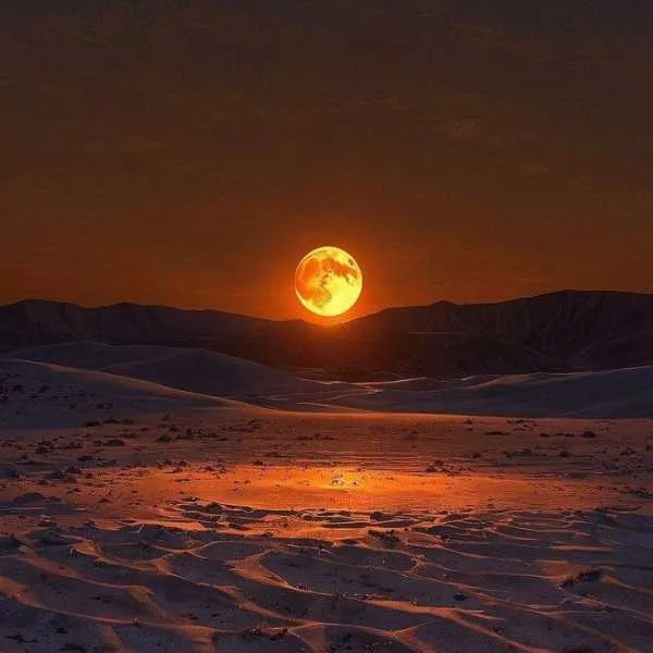 دانلود آهنگ ای دختر صحرا نیلوفر