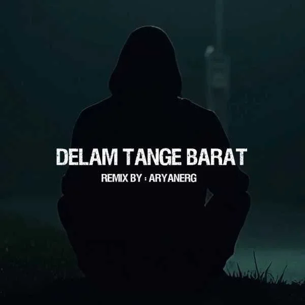 دانلود ریمیکس سورنا و پوری و شایع و ویناک و هودادکا دلم تنگه برات