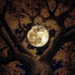 یه روز میای سراغم که خیلی وقته رفتم