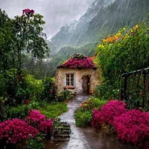 سپیده لبخند مصنوعی