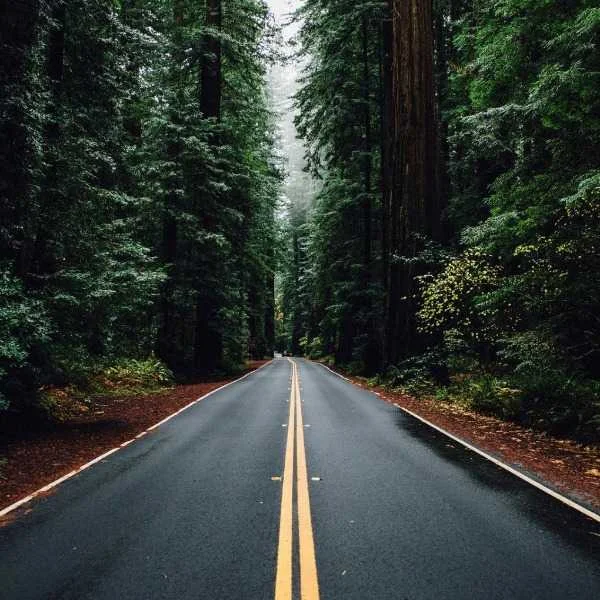 دانلود آهنگ وقتی میای صدای پات از همه جاده ها میاد